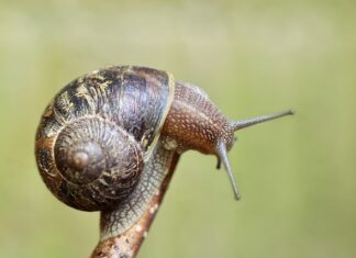 Który czujnik odpowiada za włączenie wentylatora? Który czujnik odpowiada za włączenie wentylatora?